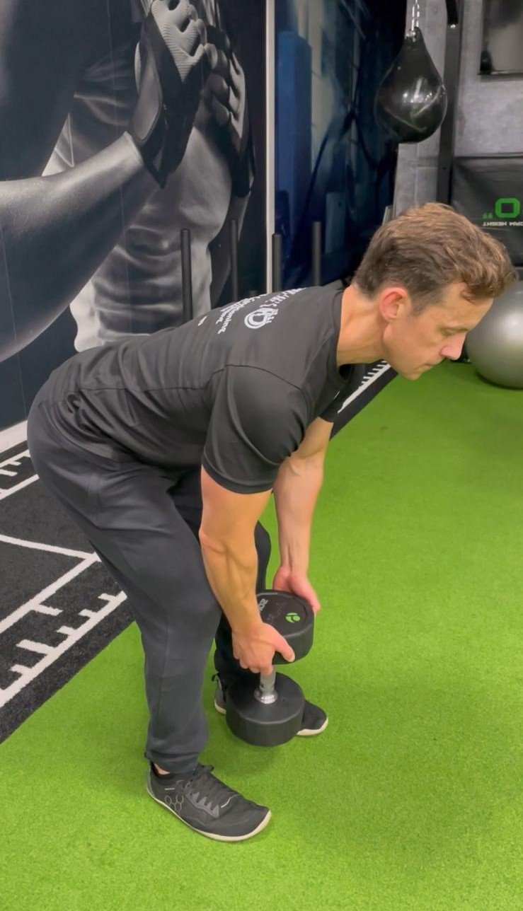 Dumbbell Romanian deadlift demonstrating the hinge movement pattern